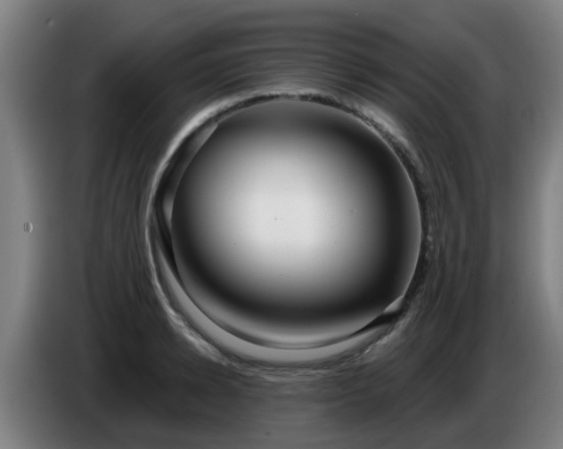 X0000086780942200704201821