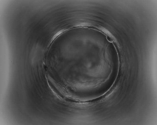 X0000086780945200704201821