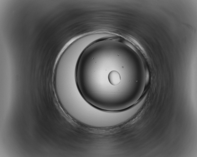 X0000086780948200704201821