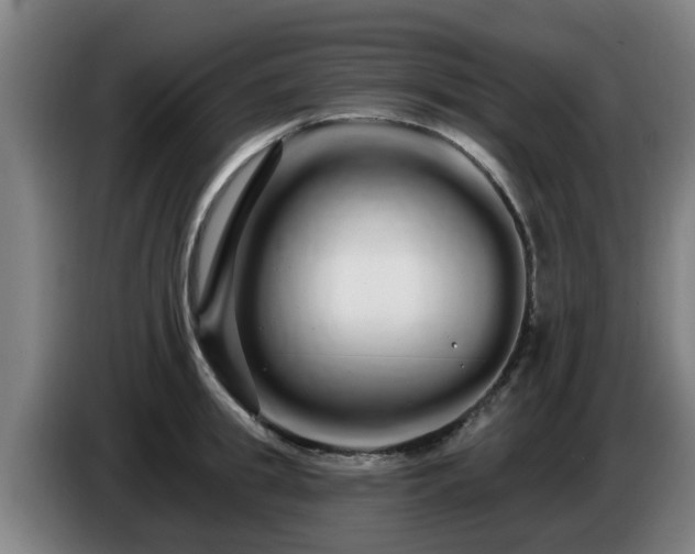 X0000086780949200704201821