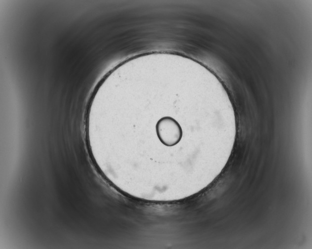 X0000086780950200704201821