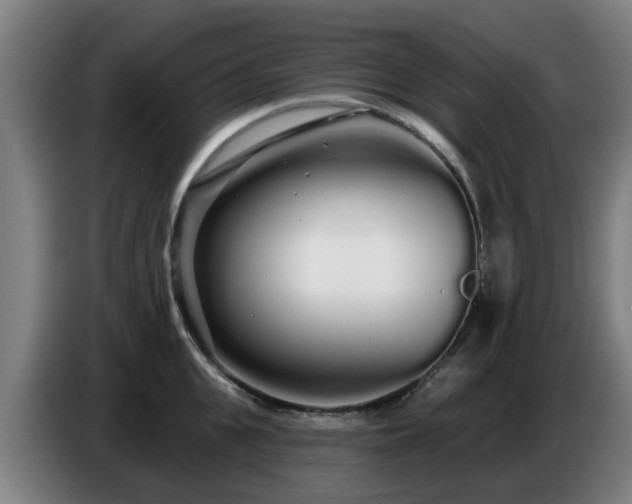 X0000086780951200704201821