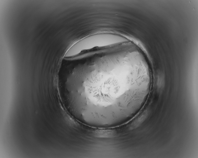 X0000086780953200704201821