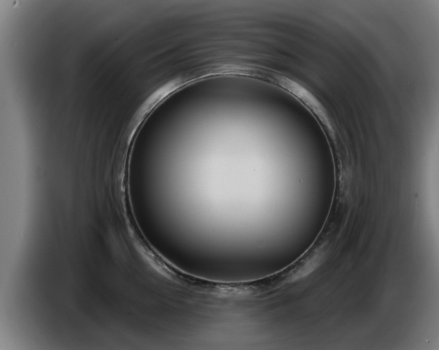 X0000086780954200704201821