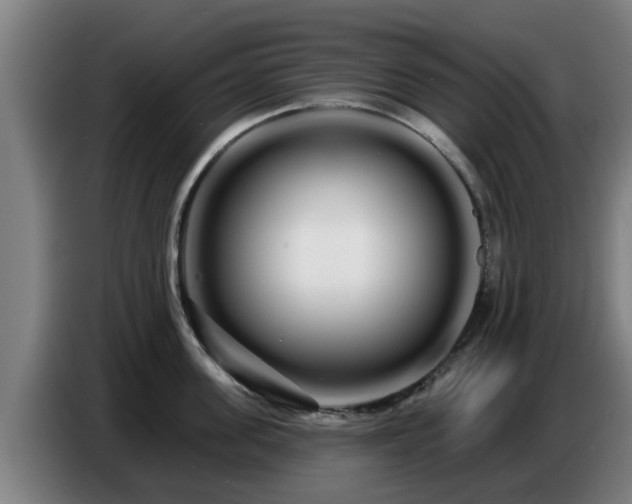 X0000086780955200704201821