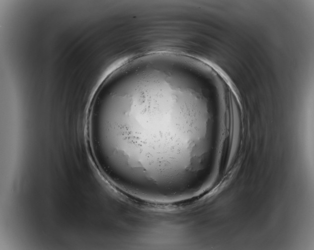 X0000086780957200704201821