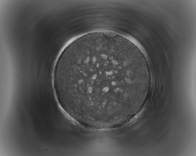 X0000086780958200704201821