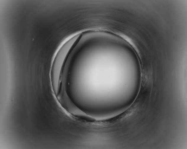 X0000086780959200704201821