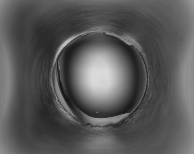 X0000086780960200704201821