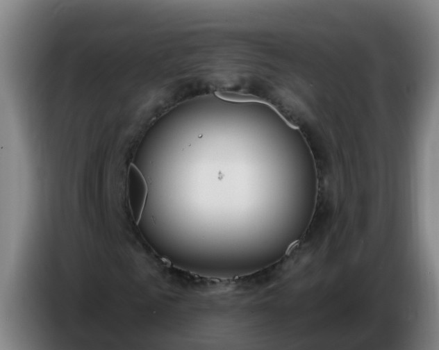 X0000086780961200704201821