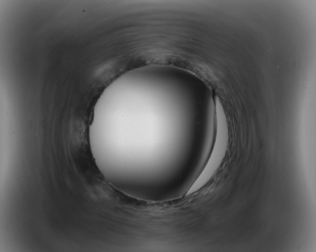 X0000086780964200704201821