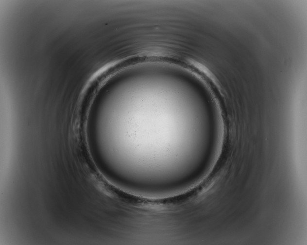 X0000086780971200704201821