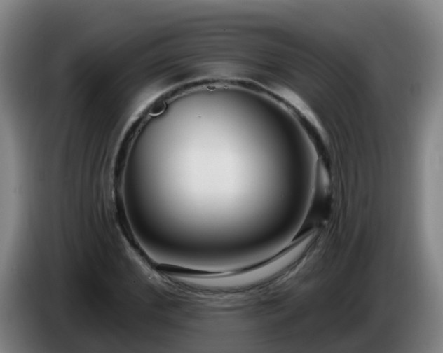 X0000086780972200704201821