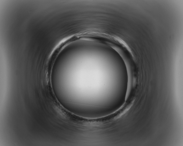 X0000086780973200704201821