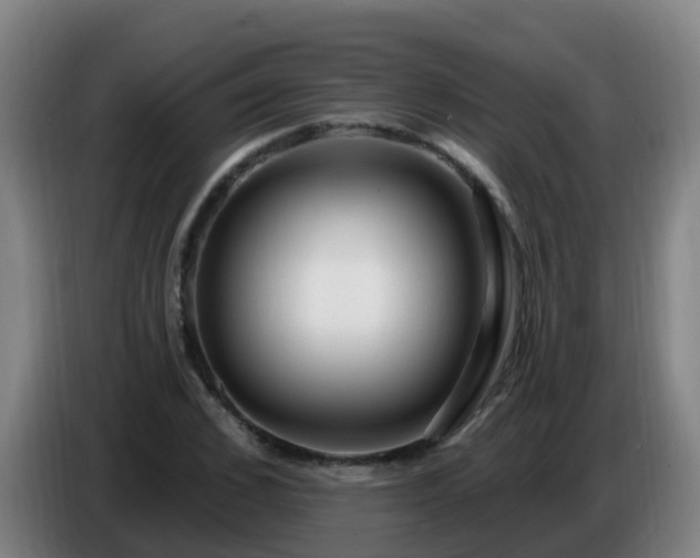 X0000086780976200704201821