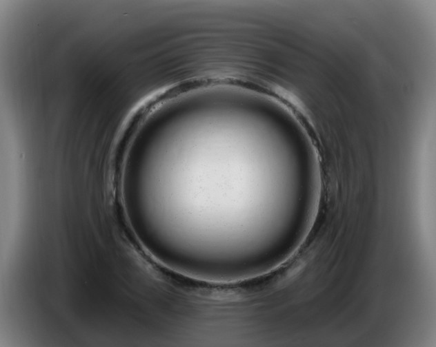 X0000086780979200704201821