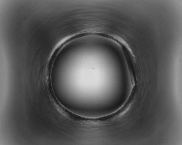 X0000086780981200704201821