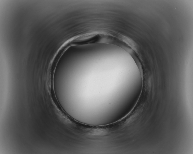 X0000086780984200704201821