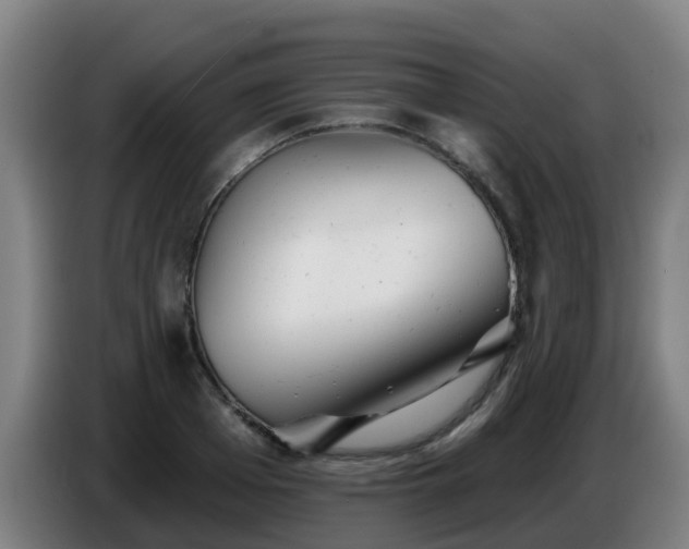 X0000086780985200704201821