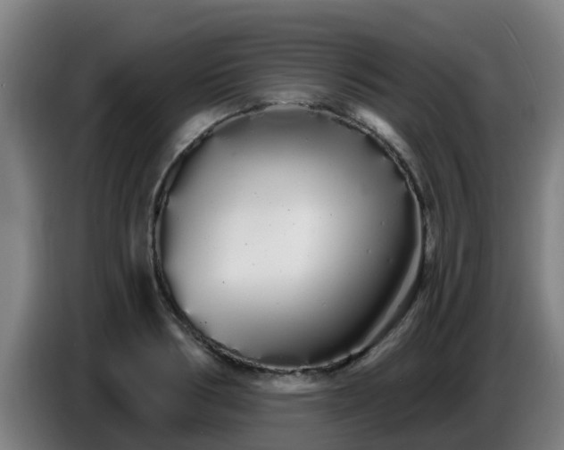 X0000086780986200704201821