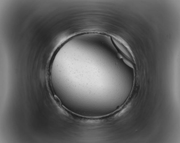 X0000086780989200704201821