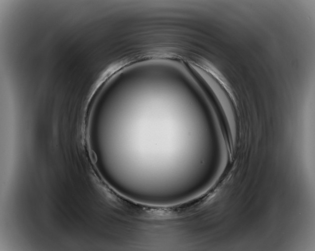 X0000086780994200704201820