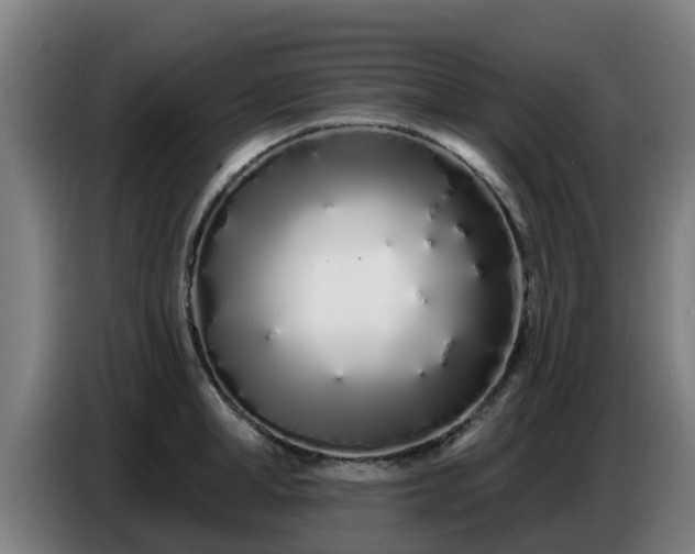 X0000086780998200704201820