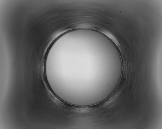 X0000086781000200704201820