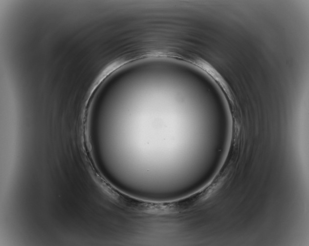 X0000086781002200704201820