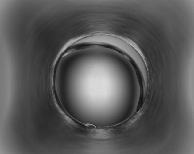 X0000086781005200704201820