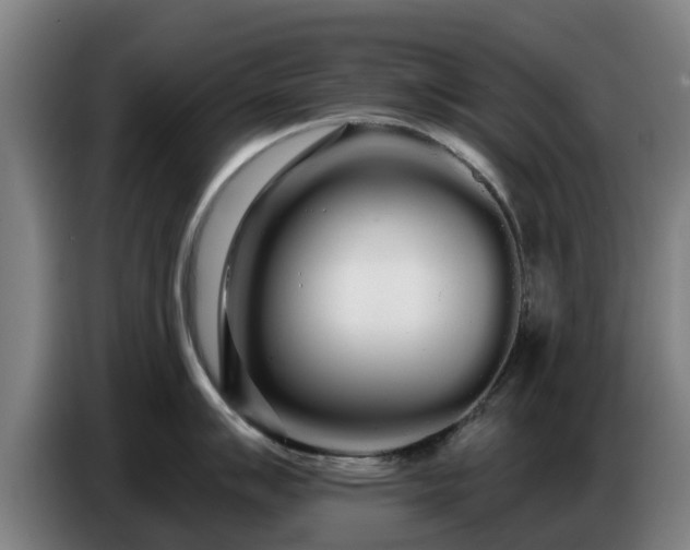 X0000086781007200704201820