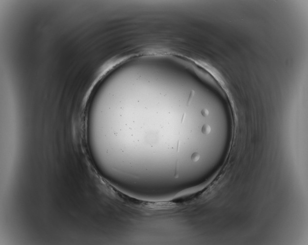 X0000086781008200704201820