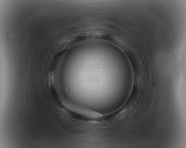 X0000086781010200704201820