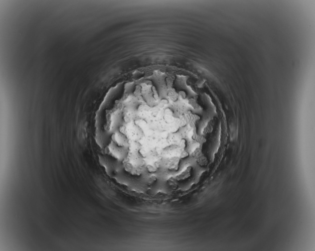 X0000086781011200704201820