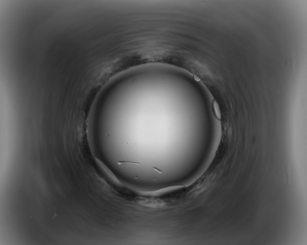 X0000086781012200704201820