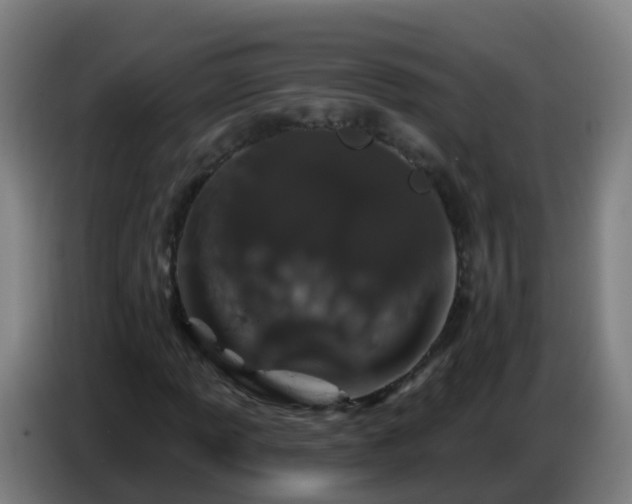 X0000086781013200704201820