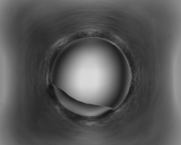 X0000086781014200704201820