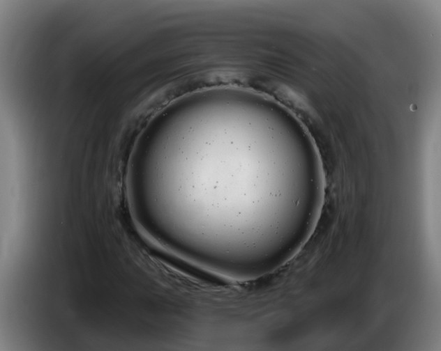 X0000086781015200704201820