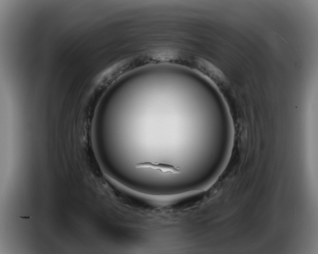 X0000086781016200704201820