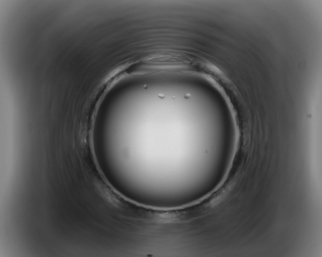 X0000086781017200704201820