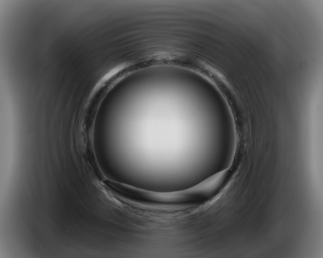 X0000086781018200704201820