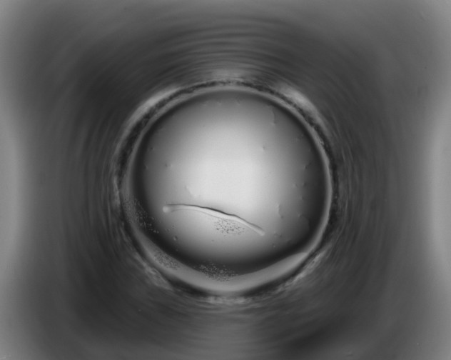 X0000086781019200704201820