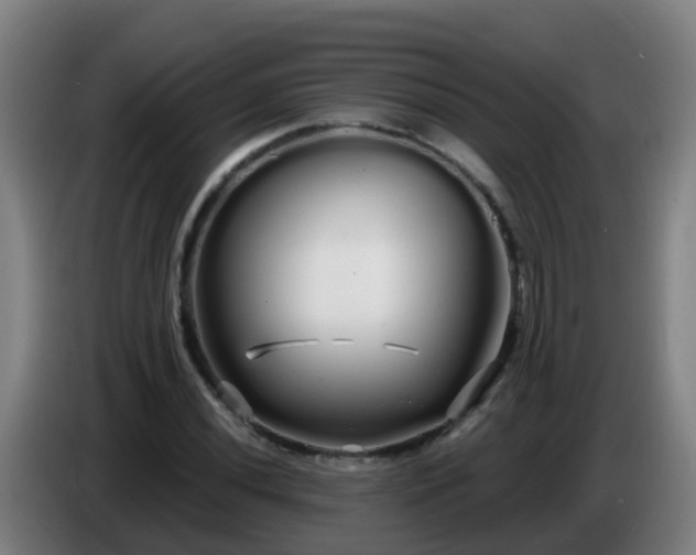 X0000086781020200704201820