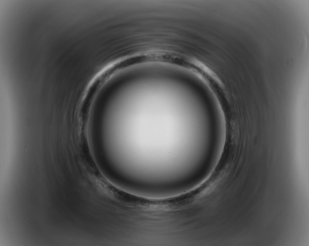 X0000086781021200704201820