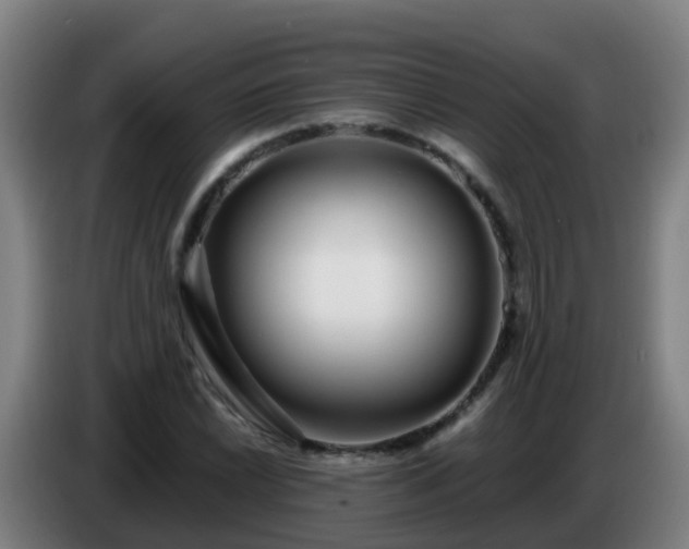 X0000086781022200704201820