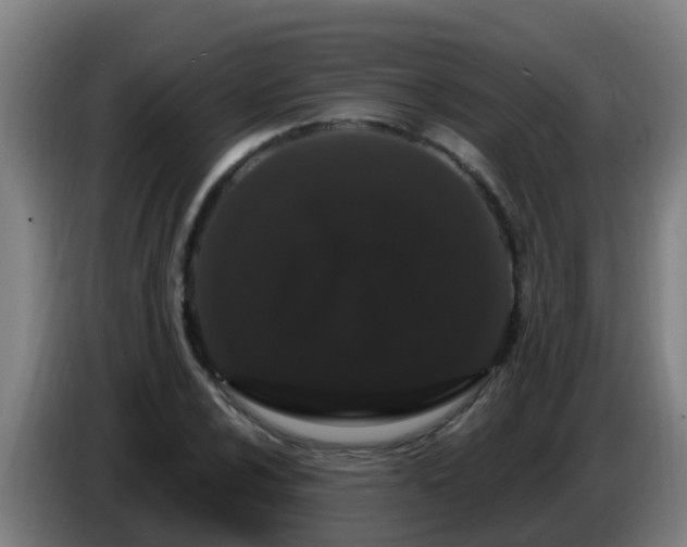 X0000086781024200704201820