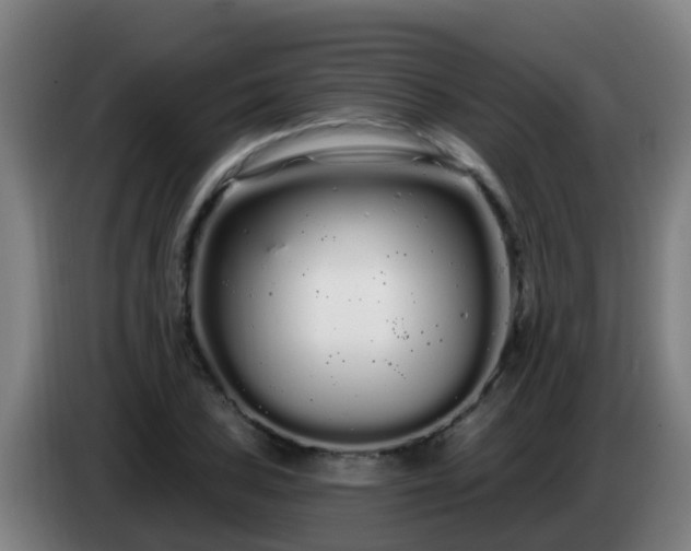 X0000086781027200704201820