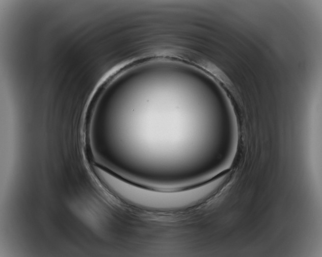 X0000086781028200704201820