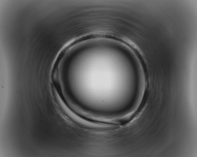 X0000086781029200704201820