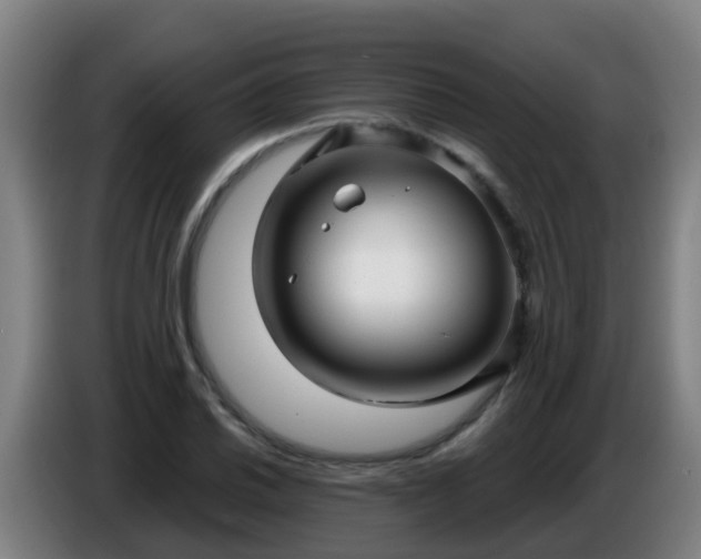 X0000086781030200704201820